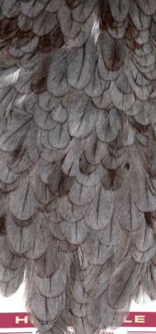 Whiting Coq de Leon Hen Saddle